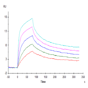 Human CD3E&CD3G/CD3 epsilon&CD3 gamma Protein (CD3-HM157)