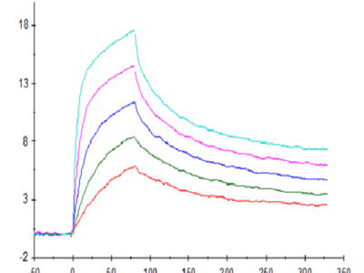 Human CD3E&CD3G/CD3 epsilon&CD3 gamma Protein (CD3-HM157)