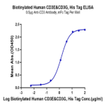 Biotinylated Human CD3E&CD3G/CD3 epsilon&CD3 gamma Protein (Primary Amine Labeling) (CD3-HM157B)