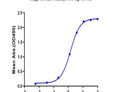 Biotinylated Human CD3E&CD3G/CD3 epsilon&CD3 gamma Protein (Primary Amine Labeling) (CD3-HM157B)