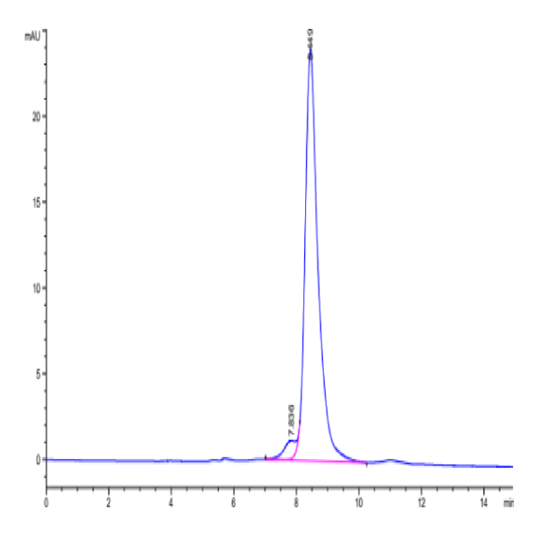 Biotinylated Human CD3E&CD3G/CD3 epsilon&CD3 gamma Protein (Primary Amine Labeling) (CD3-HM157B)