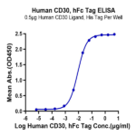Human CD30/TNFRSF8 Protein (CD3-HM230)