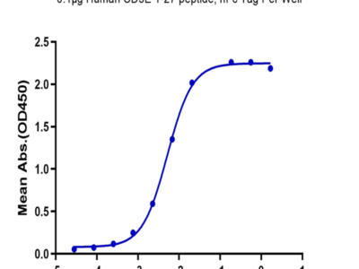 Human CD3E/CD3 epsilon 1-27 peptide Protein (CD3-HM2ED)