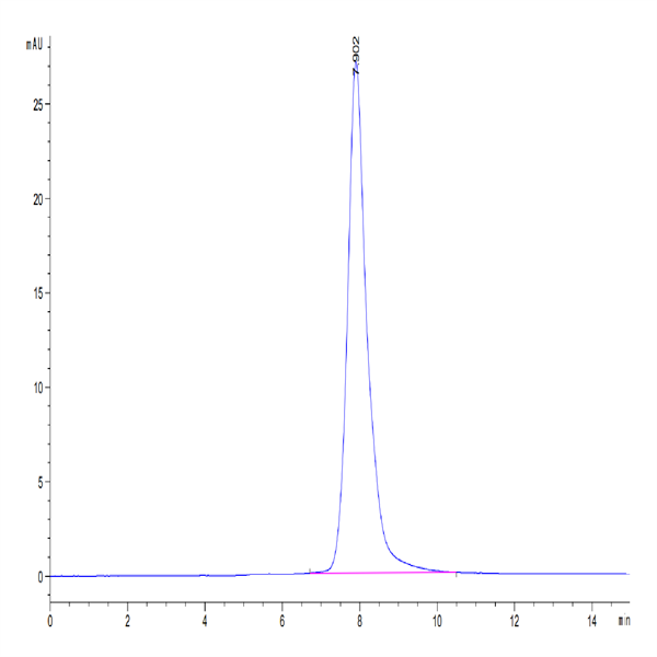 Human CD300LF Protein (CD3-HM2LF) Human CD300LF Protein (CD3-HM2LF)
