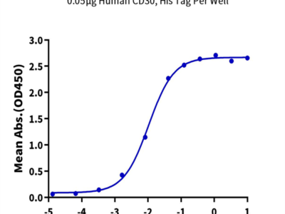 Human CD30 Ligand/TNFSF8 Protein (CD3-HM30L)
