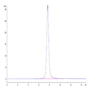 Human CD30 Ligand/TNFSF8 Protein (CD3-HM30L)