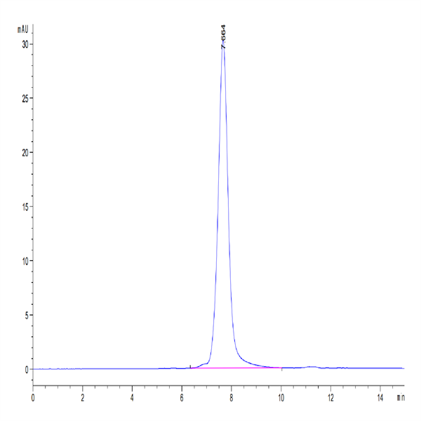 Human CD30 Ligand/TNFSF8 Protein (CD3-HM30L)