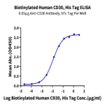 Biotinylated Human CD30/TNFRSF8 Protein (CD3-HM430B)