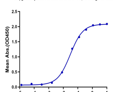 Biotinylated Human CD3E&CD3G/CD3 epsilon&CD3 gamma Protein (CD3-HM557B)