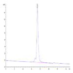 Mouse CD31/PECAM-1 Protein (CD3-MM131)