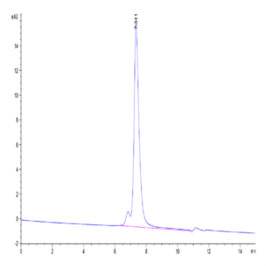 Mouse CD31/PECAM-1 Protein (CD3-MM131)