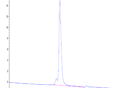 Mouse CD31/PECAM-1 Protein (CD3-MM131)