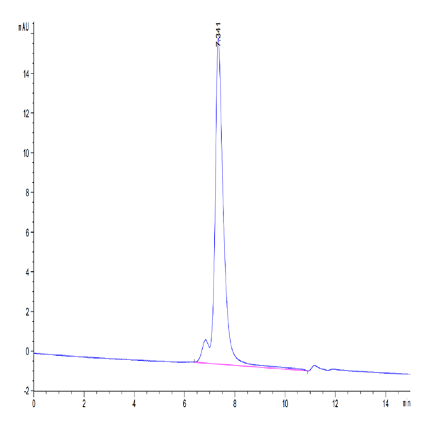 Mouse CD31/PECAM-1 Protein (CD3-MM131) Mouse CD31/PECAM-1 Protein (CD3-MM131)