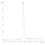 Mouse CD38 Protein (CD3-MM138)