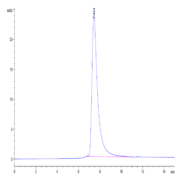 Mouse CD38 Protein (CD3-MM138) Mouse CD38 Protein (CD3-MM138)