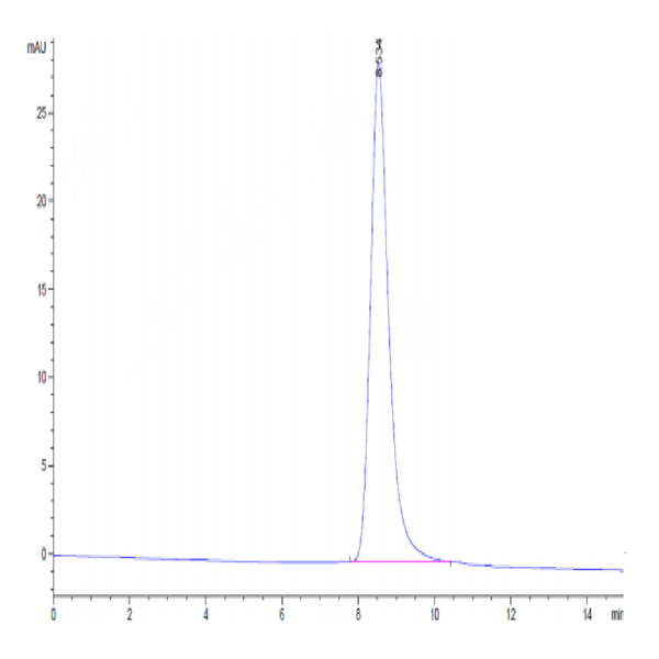 Mouse CD39/ENTPD1 Protein (CD3-MM139)