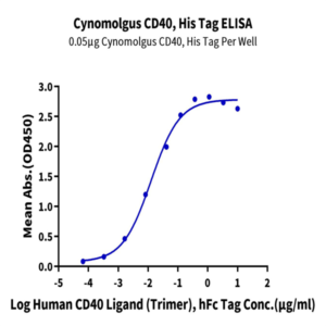 Cynomolgus CD40/TNFRSF5 Protein (CD4-CM140)