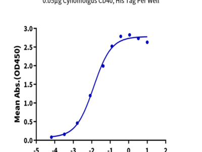 Cynomolgus CD40/TNFRSF5 Protein (CD4-CM140)