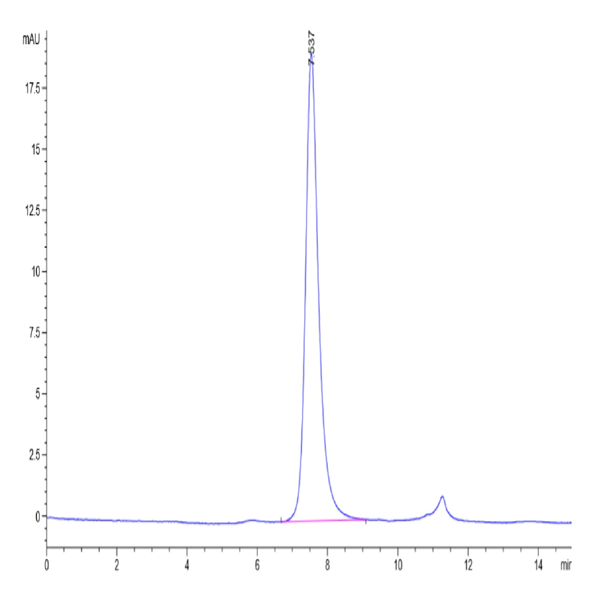 Cynomolgus CD40/TNFRSF5 Protein (CD4-CM140)