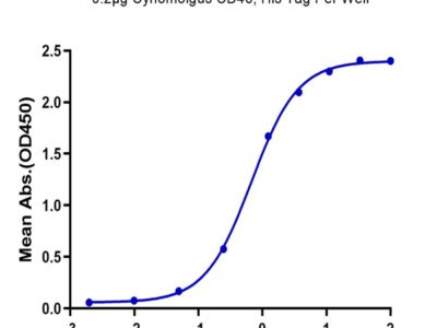 Cynomolgus CD46 Protein (CD4-CM146)