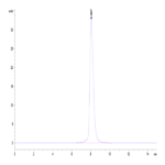 Cynomolgus CD46 Protein (CD4-CM146)