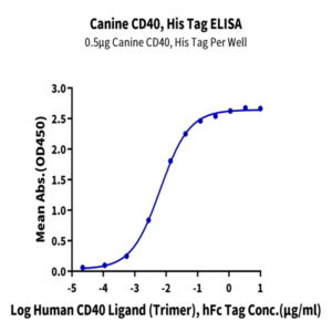 Canine CD40/TNFRSF5 Protein (CD4-DM140)