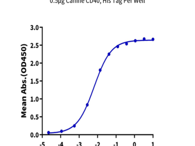 Canine CD40/TNFRSF5 Protein (CD4-DM140)