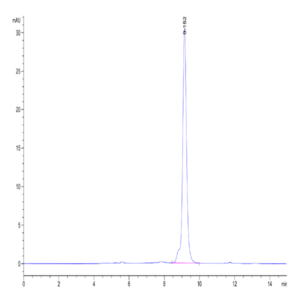 Canine CD40/TNFRSF5 Protein (CD4-DM140)