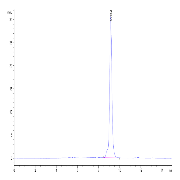 Canine CD40/TNFRSF5 Protein (CD4-DM140)