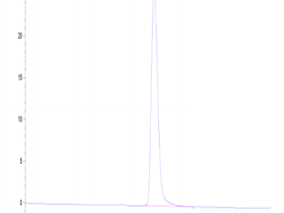 Canine CD46 Protein (CD4-DM146)