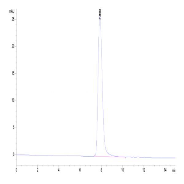 Canine CD46 Protein (CD4-DM146) Canine CD46 Protein (CD4-DM146)