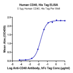 Human CD40/TNFRSF5 Protein (CD4-HM140)