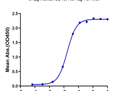 Human CD40/TNFRSF5 Protein (CD4-HM140)