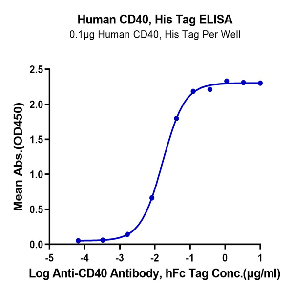 Human CD40/TNFRSF5 Protein (CD4-HM140) Human CD40/TNFRSF5 Protein (CD4-HM140)