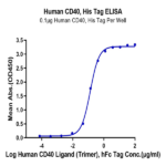 Human CD40/TNFRSF5 Protein (CD4-HM140)