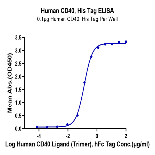 Human CD40/TNFRSF5 Protein (CD4-HM140)