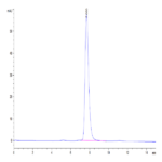 Human CD40/TNFRSF5 Protein (CD4-HM140)