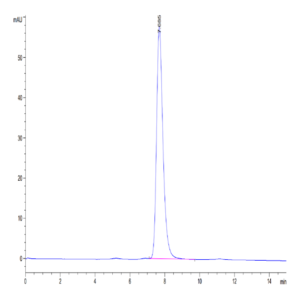 Human CD40/TNFRSF5 Protein (CD4-HM140)