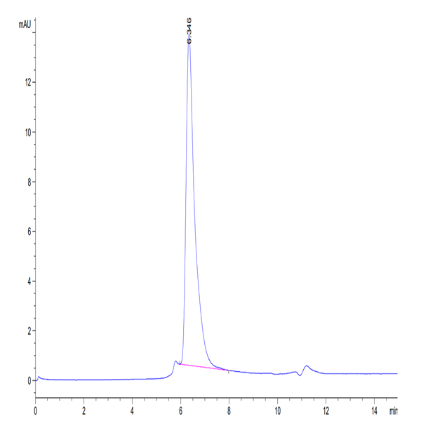 Human CD4/LEU3 Protein (CD4-HM204)