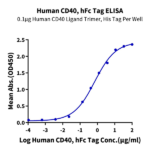 Human CD40/TNFRSF5 Protein (CD4-HM240)