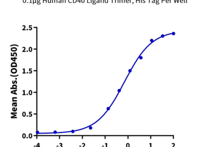 Human CD40/TNFRSF5 Protein (CD4-HM240)