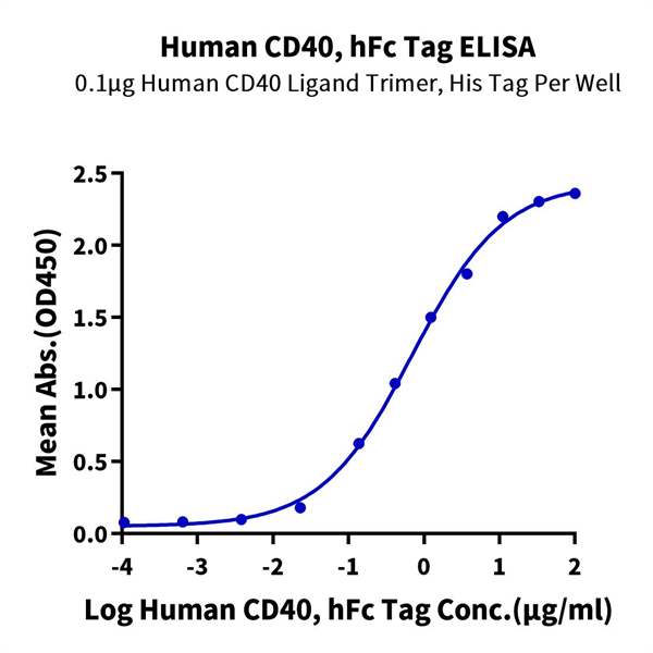 Human CD40/TNFRSF5 Protein (CD4-HM240) Human CD40/TNFRSF5 Protein (CD4-HM240)