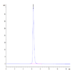 Human CD40/TNFRSF5 Protein (CD4-HM240)