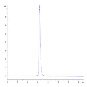 Human CD40/TNFRSF5 Protein (CD4-HM240)