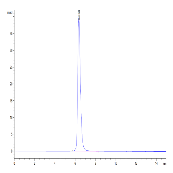 Human CD40/TNFRSF5 Protein (CD4-HM240)