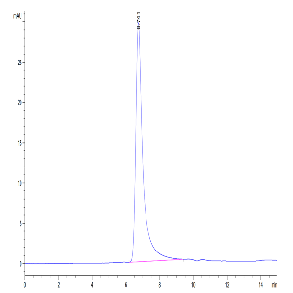 Human CD4/LEU3 Protein (CD4-HM401)