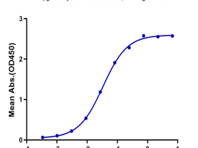 Biotinylated Human CD40/TNFRSF5 Protein (CD4-HM440B)