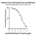 Biotinylated Human CD40/TNFRSF5 Protein (CD4-HM440B)
