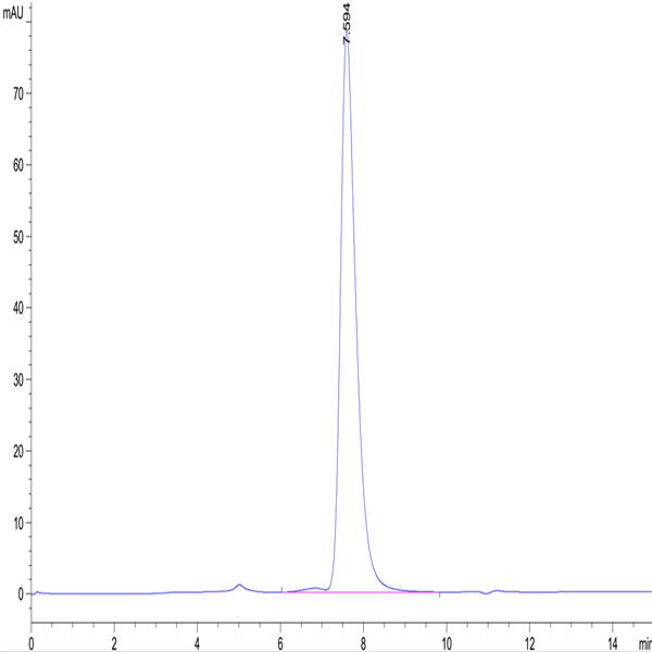 Biotinylated Human CD40/TNFRSF5 Protein (CD4-HM440B)