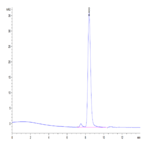 Mouse CD4/LEU3 Protein (CD4-MM101)